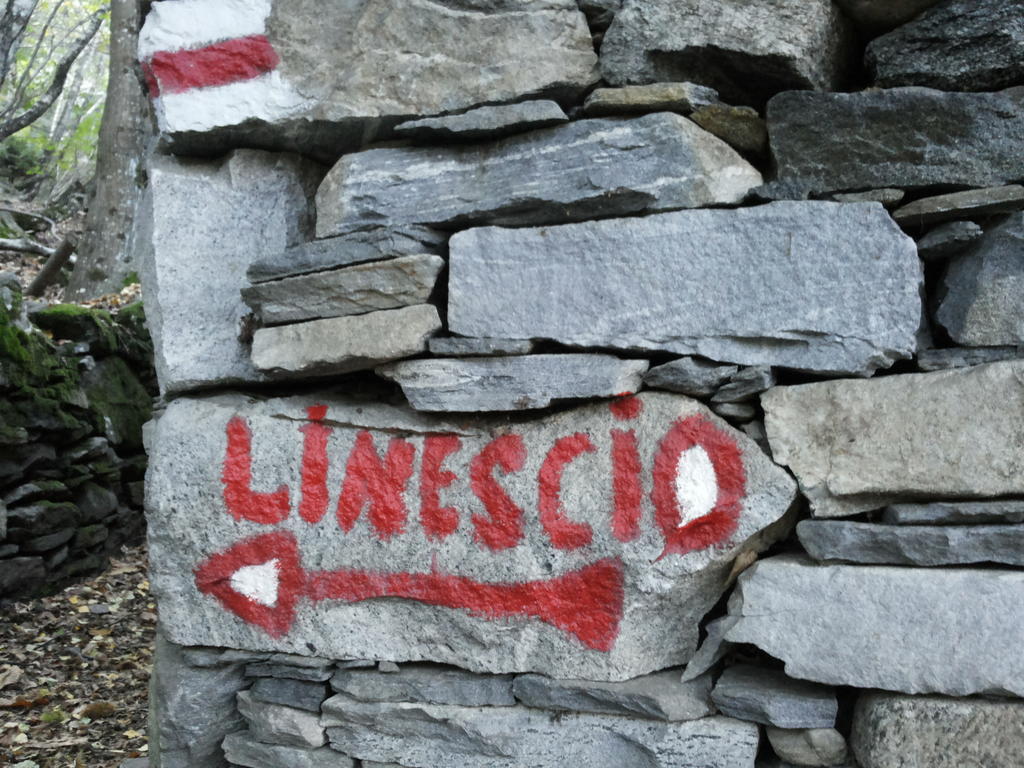 Guesthouse By Wild Linescio Екстер'єр фото